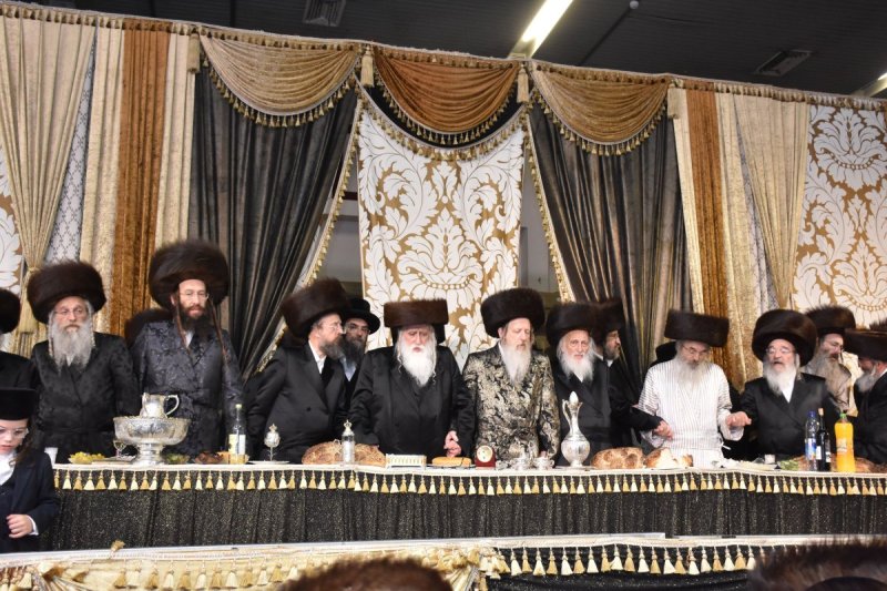 יהודה פרקוביץ