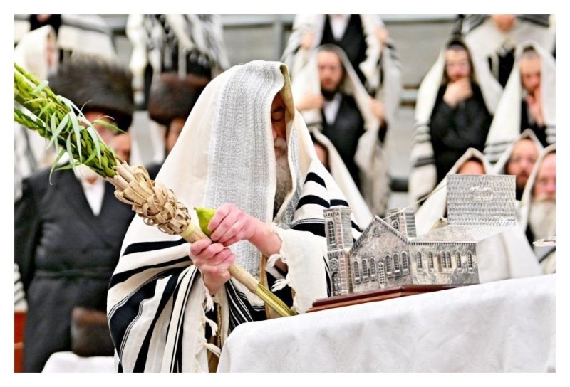 יהושע פרוכטר