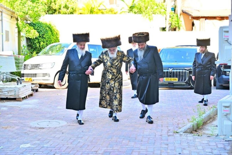 יהושע פרוכטר