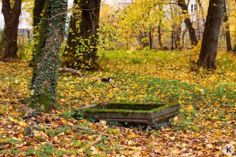 אנדריי בויץ