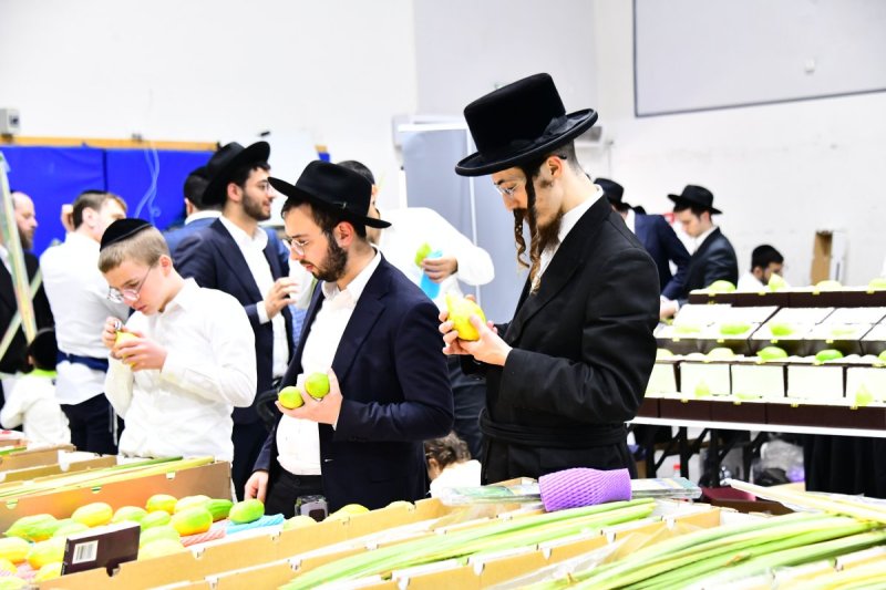 שוקי לרר