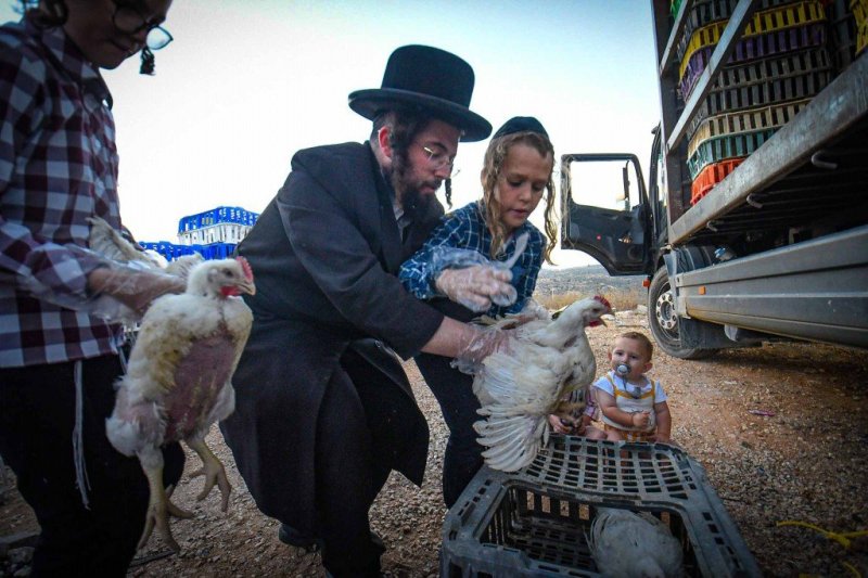 ארי קופרשטוק