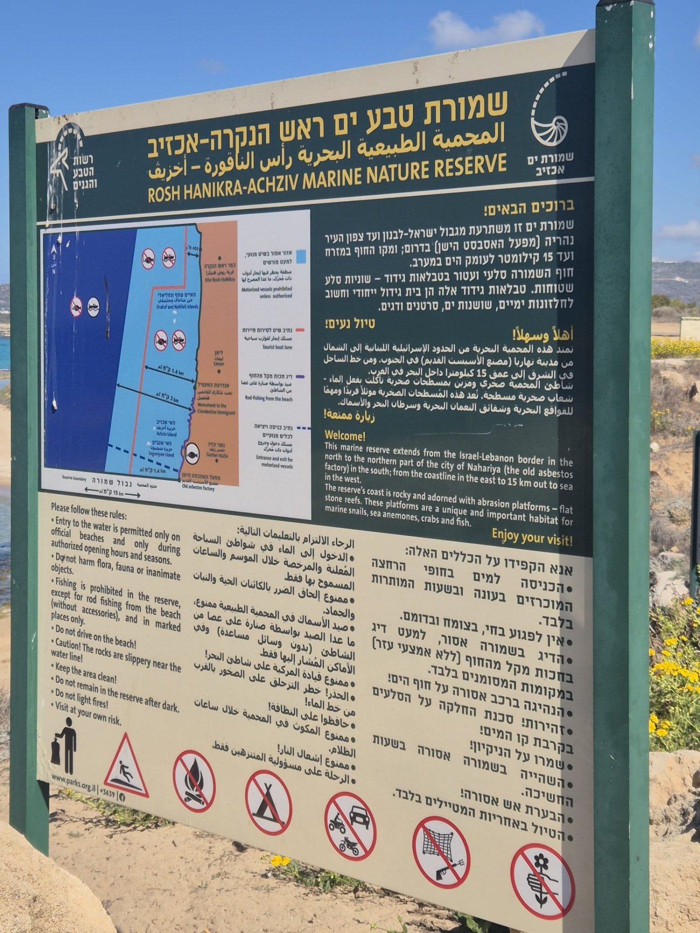 זיו נדר, רט"ג