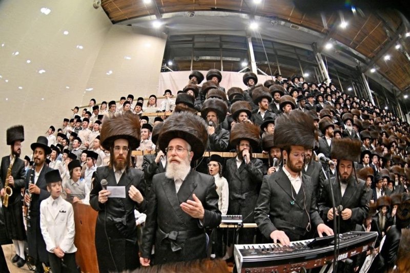 יהושע פרוכטר