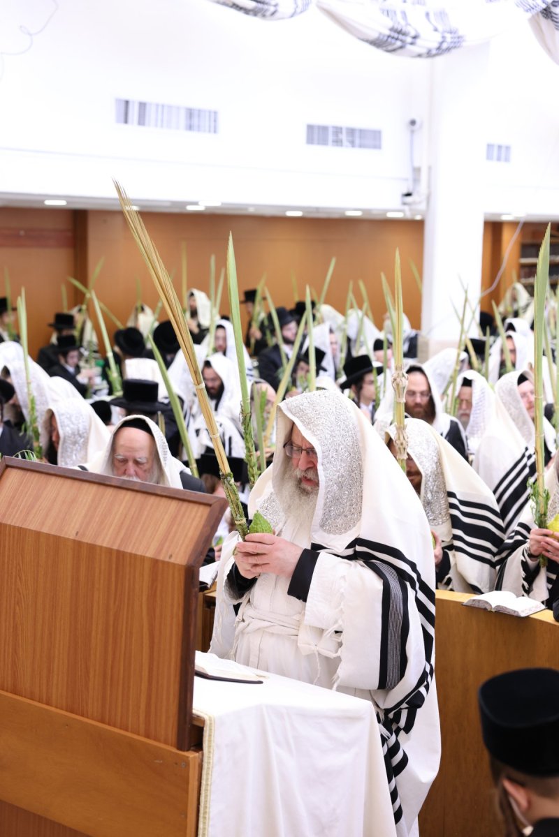 שוקי לרר, אברומי ברגר ומ.ש