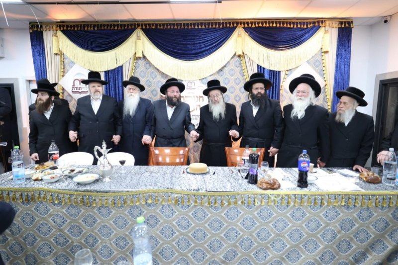 קובי הר צבי