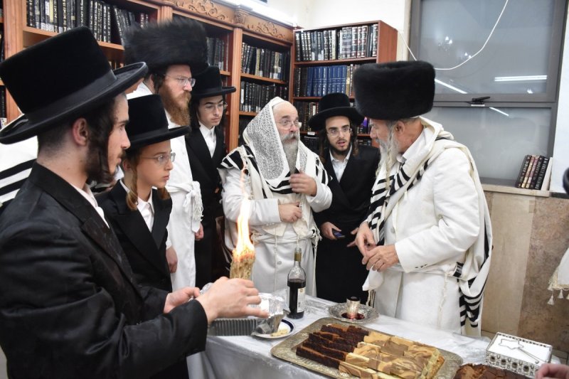 יהודה פרקוביץ