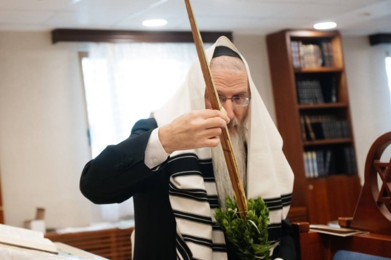 לוי נאזרוב