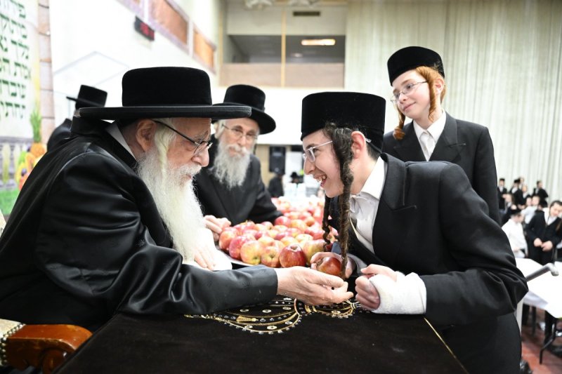 משה גולדשטיין