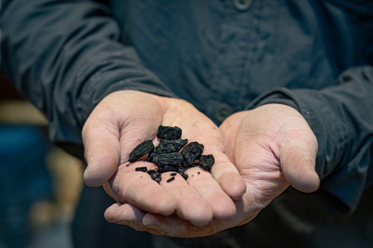 אמיל אלג'ם, רשות העתיקות