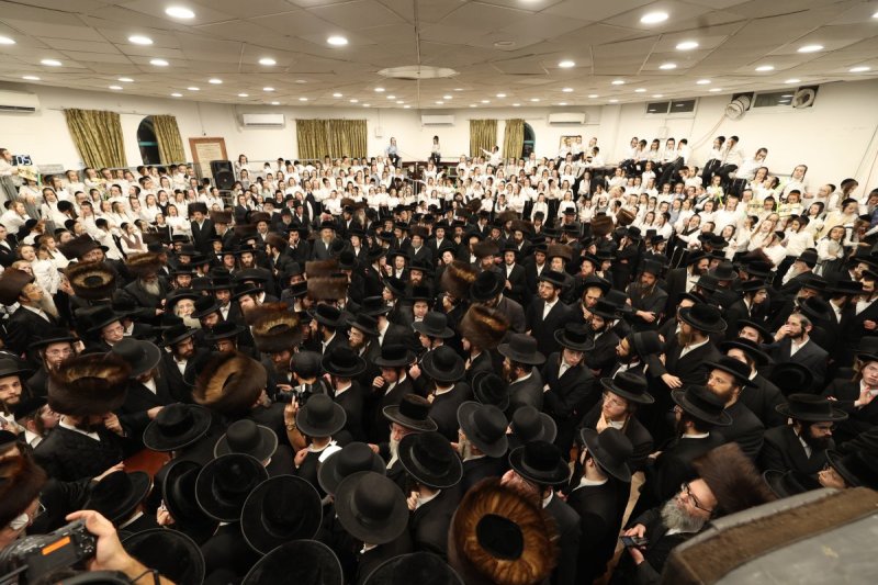 משה גולדשטיין, דוד ארזני ומאיר לביא