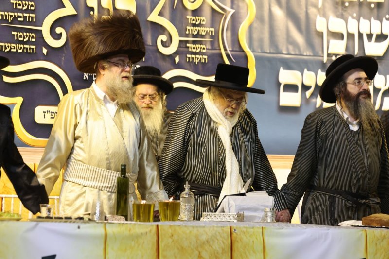 דוד כהן