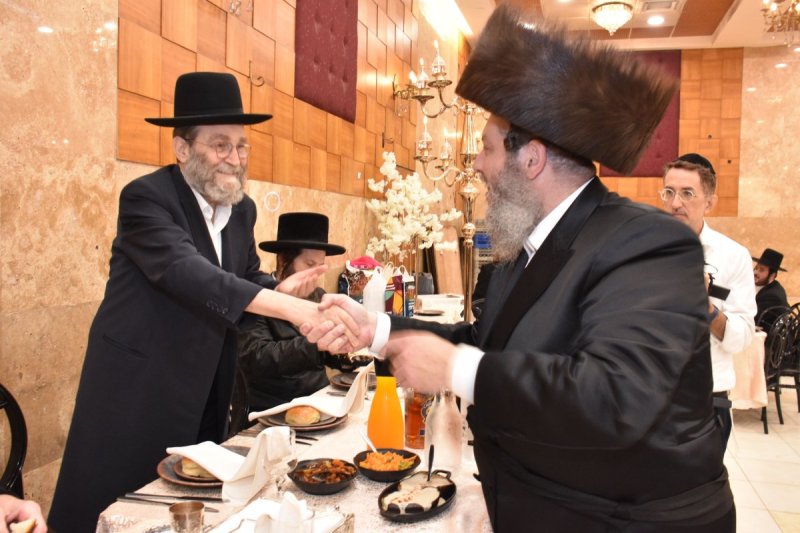 יהודה פרקוביץ
