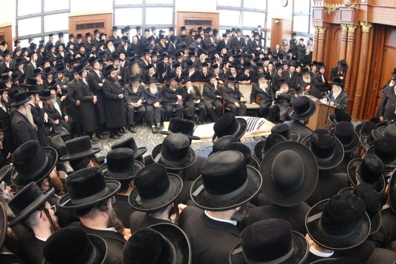 שלומי טריכטר