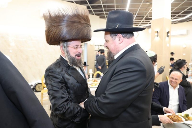 שלומי טריכטר