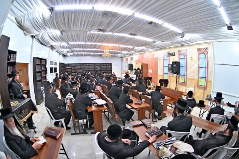 יהושע פרוכטר