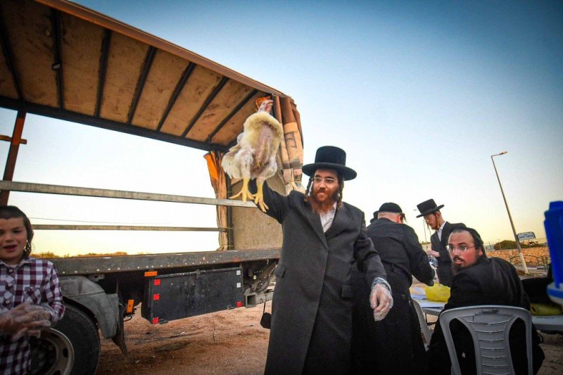 ארי קופרשטוק