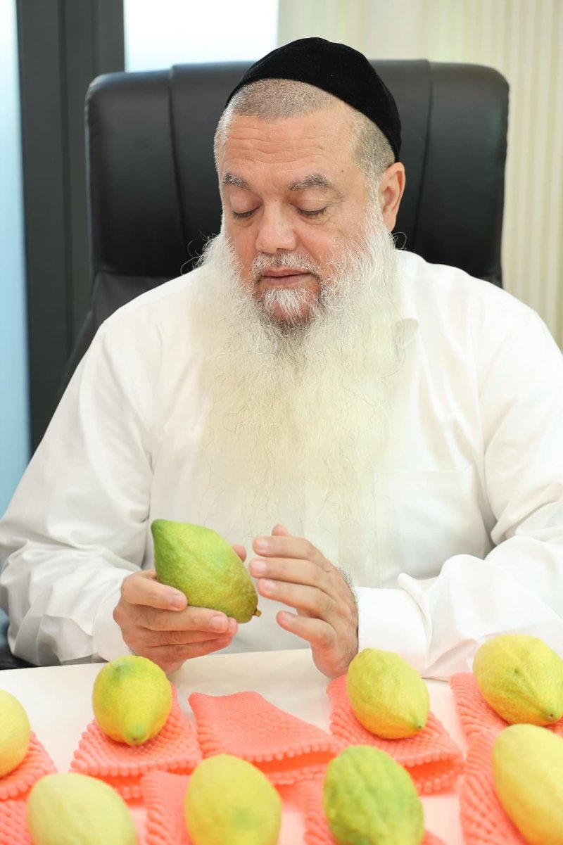 נועם אליהו