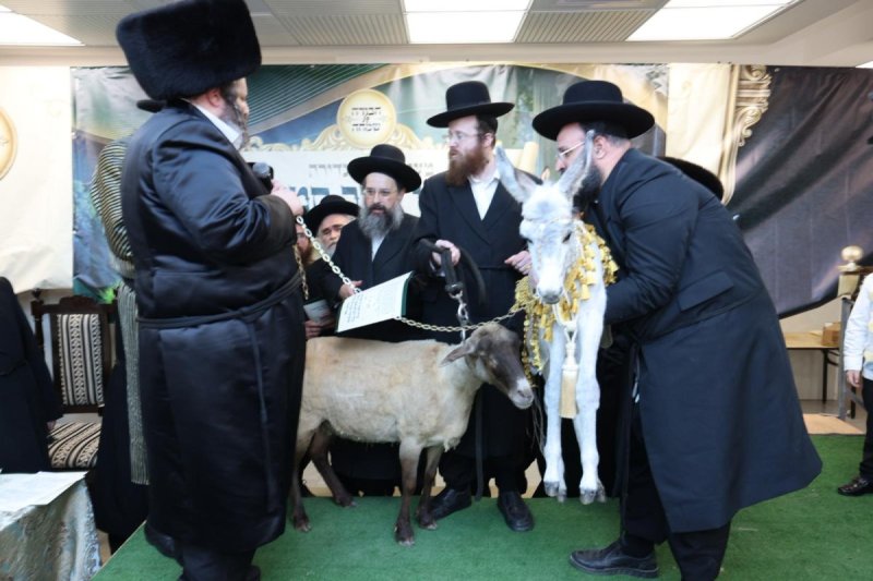 באדיבות המצלם