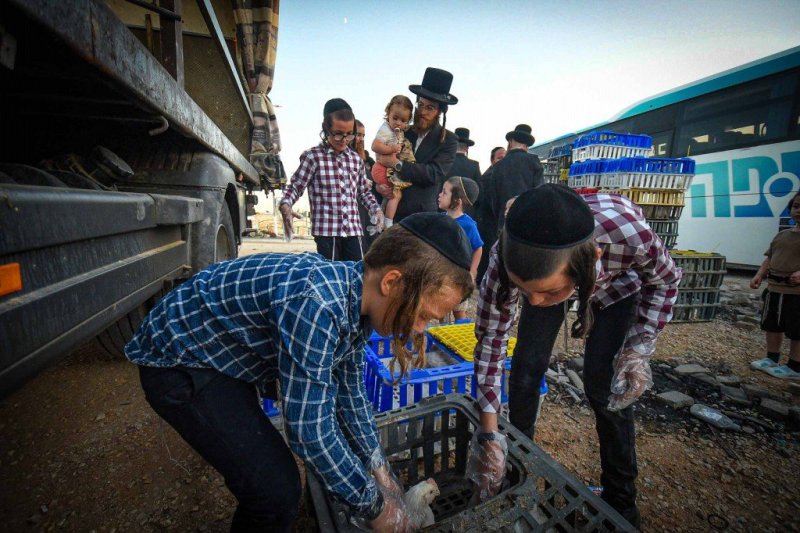 ארי קופרשטוק