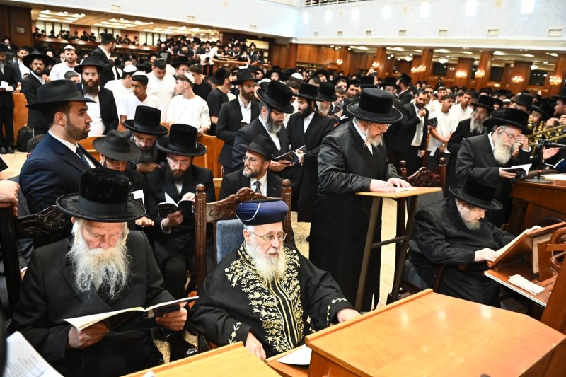 שוקי לרר