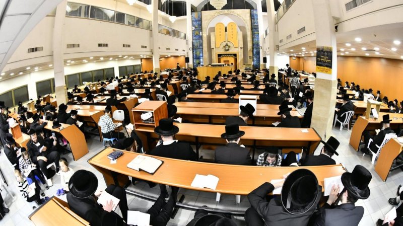 שוקי לרר