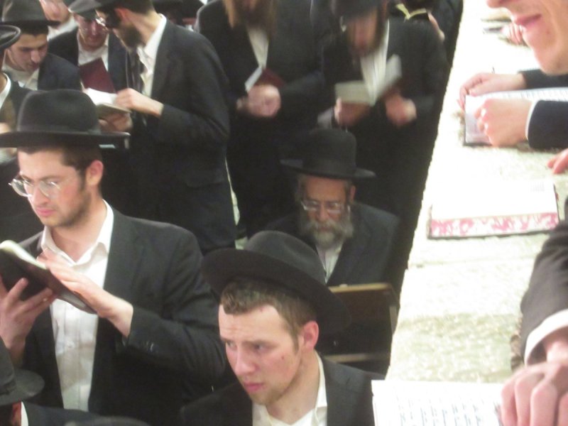 באדיבות המצלם