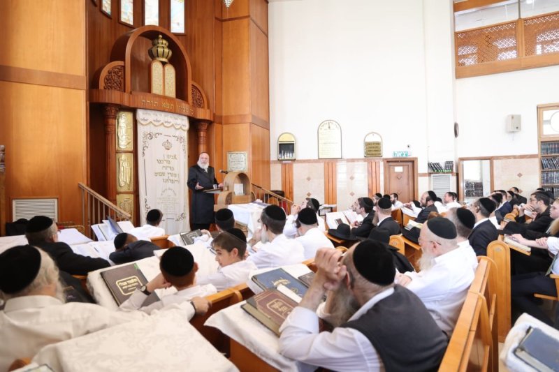 שלומי טריכטר