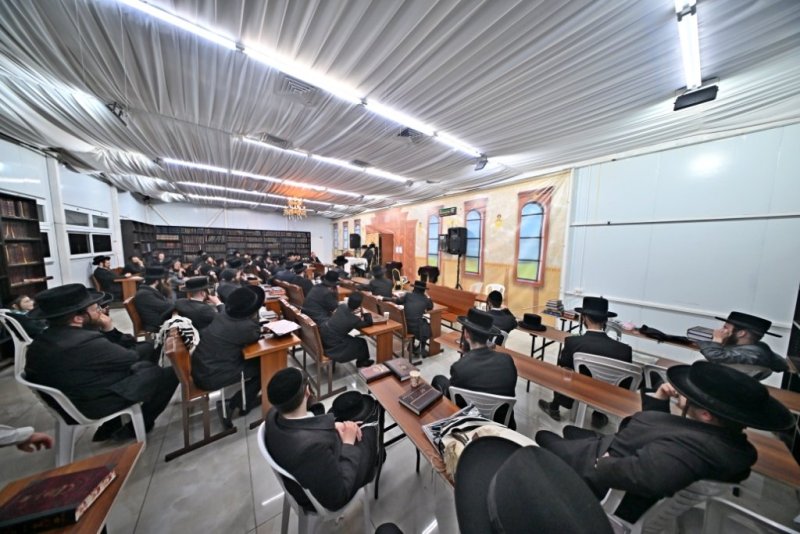 יהושע פרוכטר