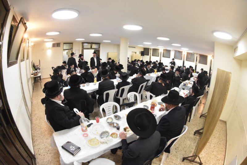 יהודה פרקוביץ