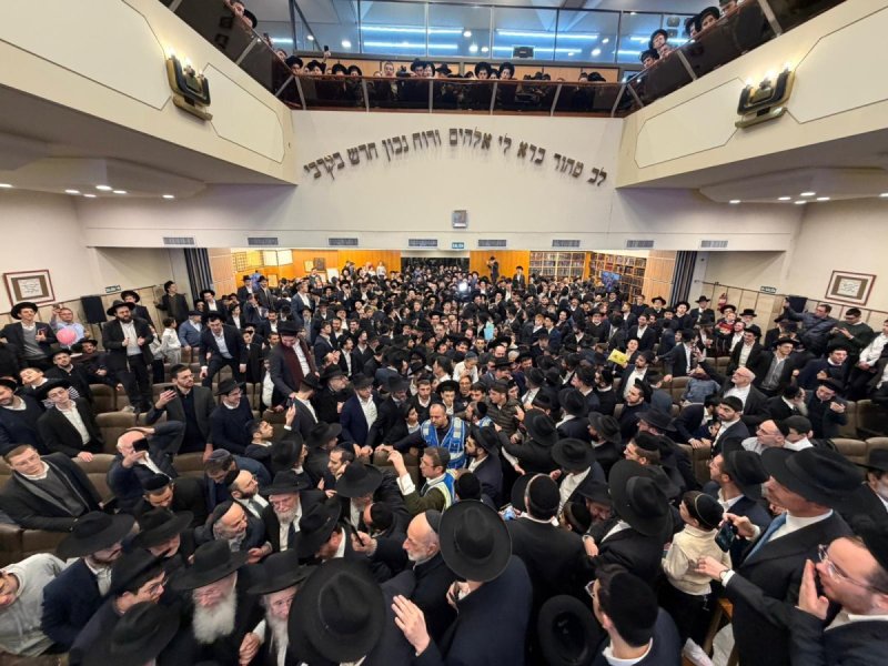 דניאל נפוסי ומאיר זלזניק