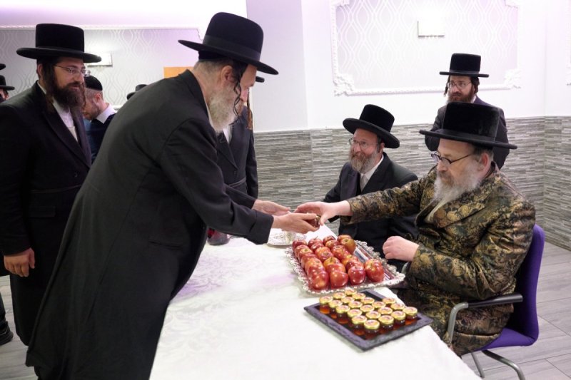 דודי בראון