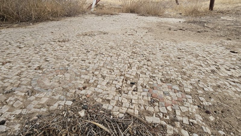 אלה טל חיוט רשות הטבע והגנים