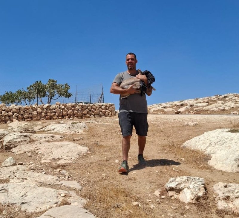 רועי גלעד, רשות הטבע והגנים