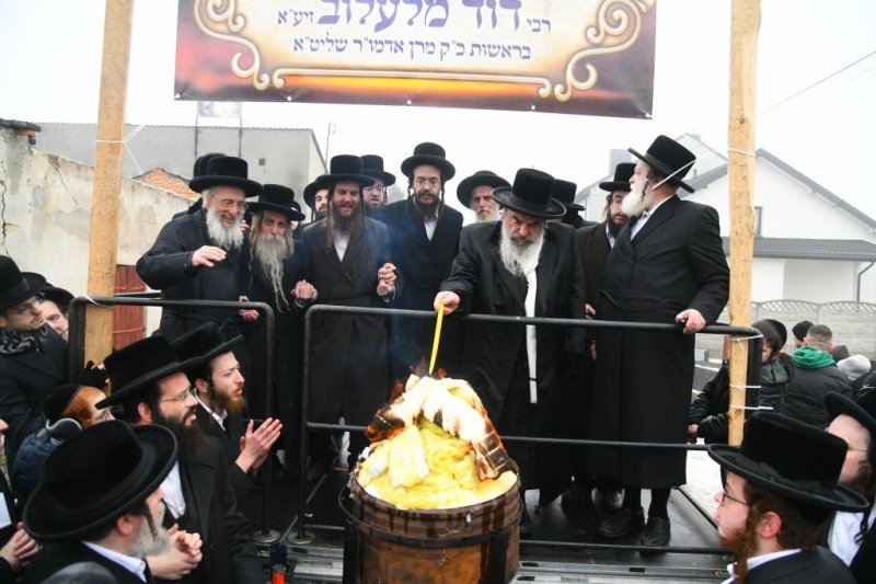 ארי קופרשטוק