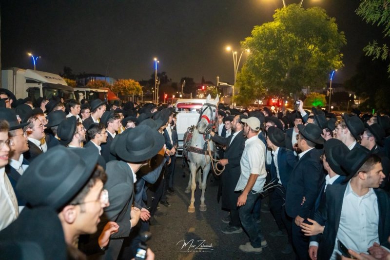 מאיר זלזניק