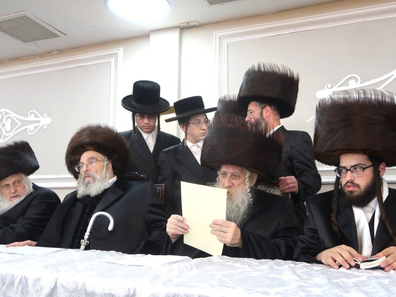 שימי פ.