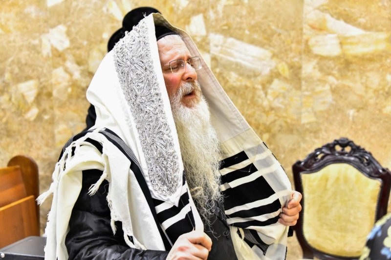 שוקי לרר