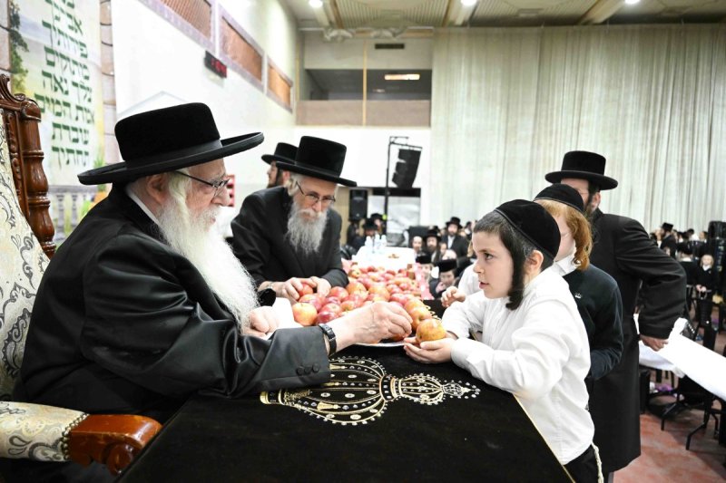 משה גולדשטיין