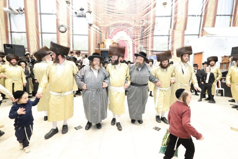 שלומי טריכטר