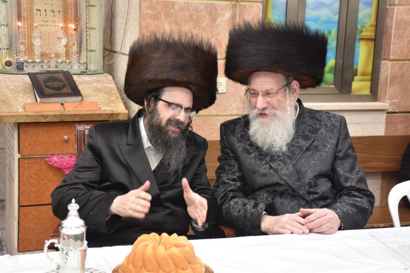 יהודה פרקוביץ