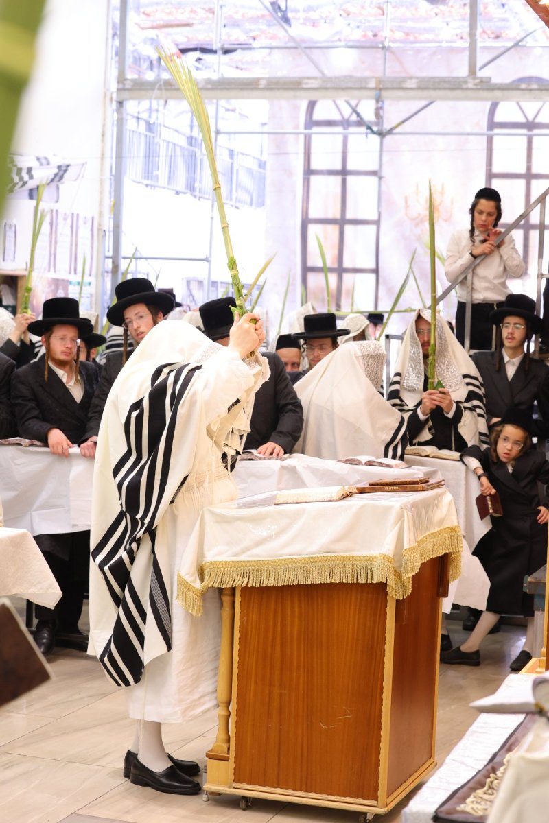 באדיבות המצלם