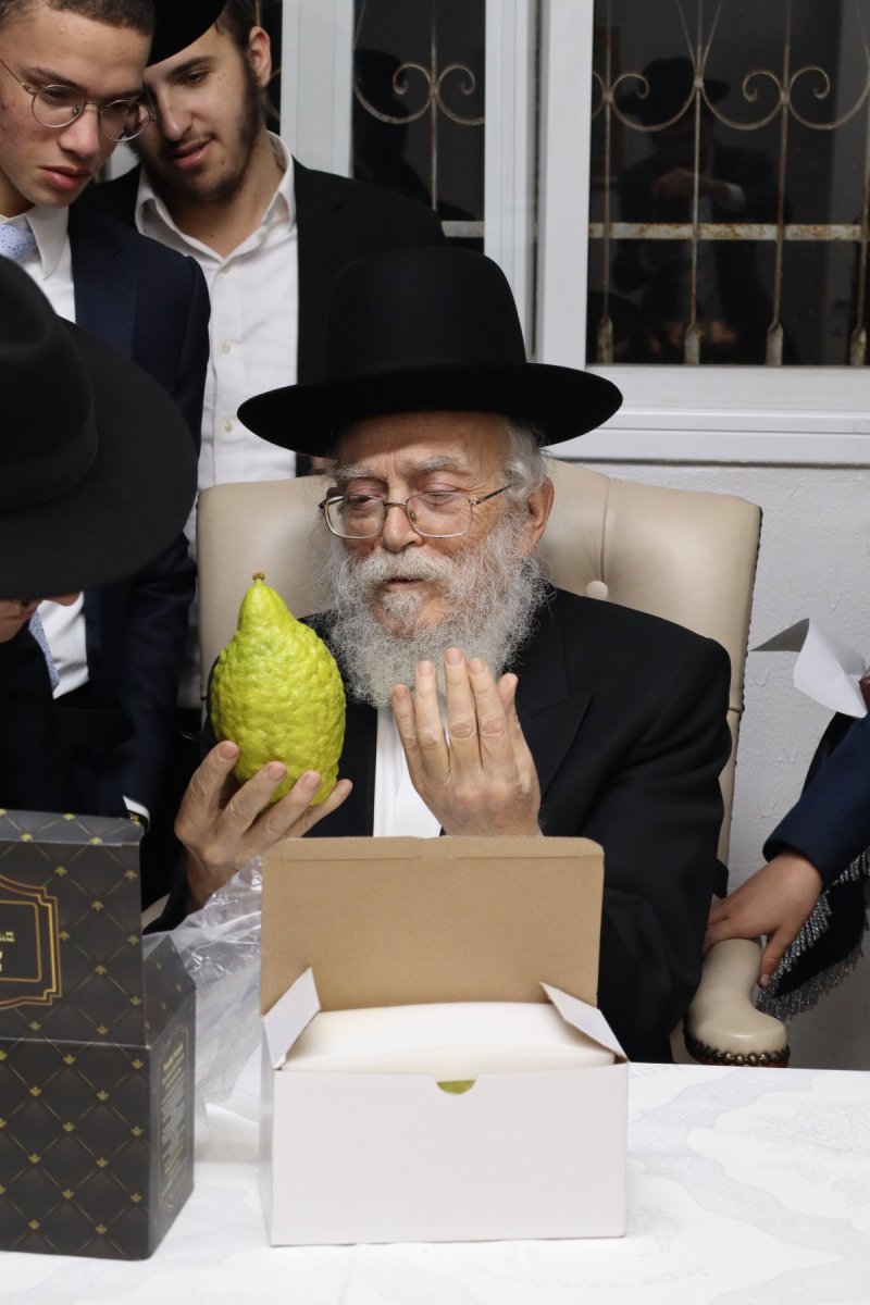 באדיבות המצלם