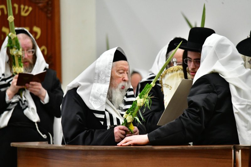 שוקי לרר