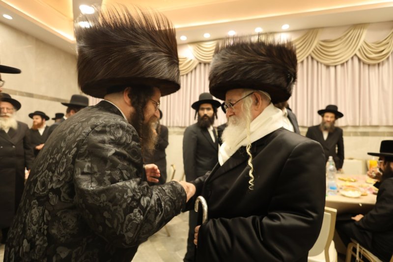 נתי אמרגי