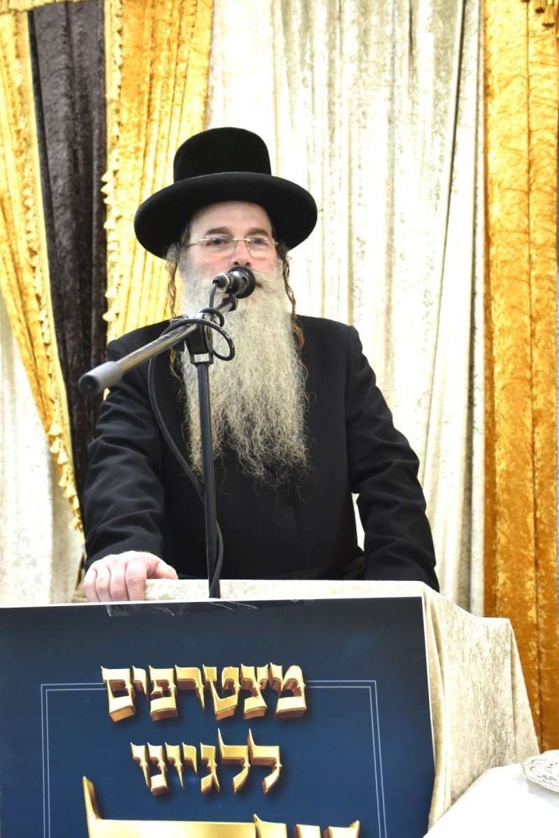 יהודה פרקוביץ