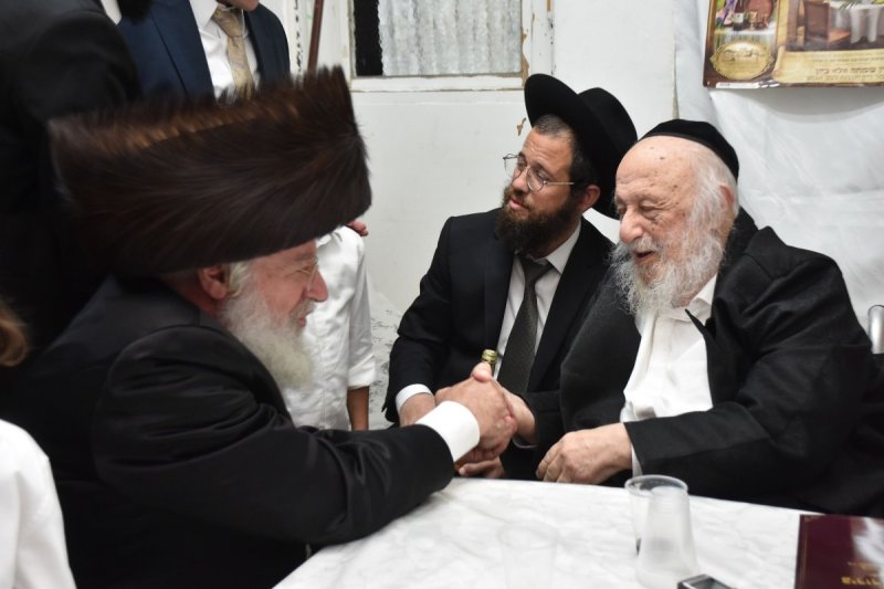 יהודה פרקוביץ