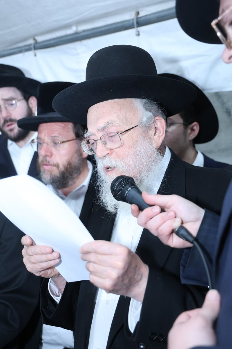 שלומי טריכטר
