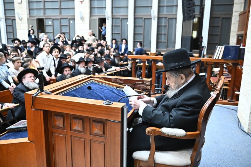 שוקי לרר