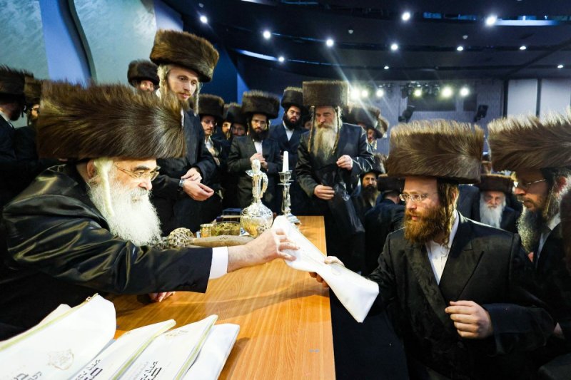 שלומי טריכטר